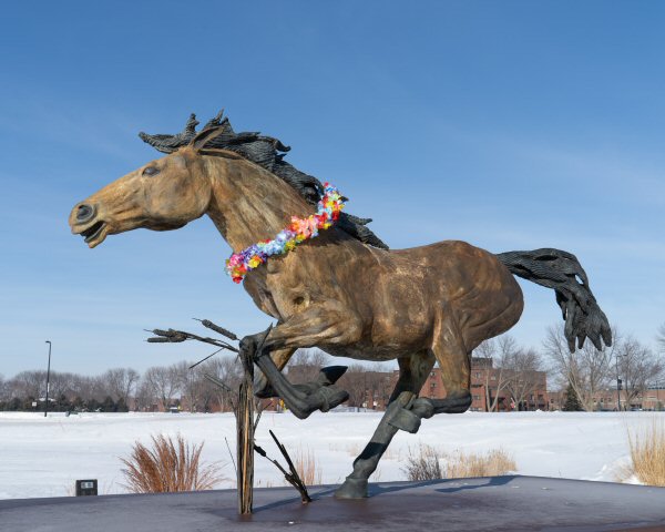 2019-02-01-Horse-small.jpg