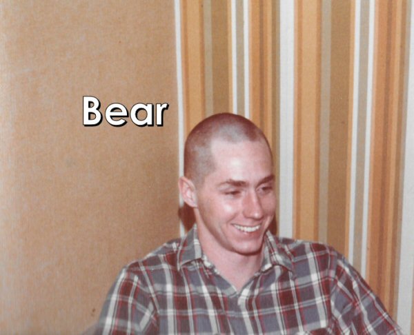 Bear-small.jpg